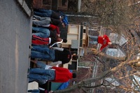 2007 Carnival 