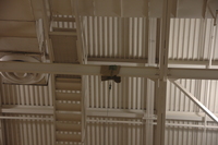 2007 