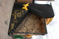 Carnival 2007 