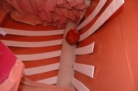 2007 Carnival 