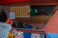 2007 Carnival 