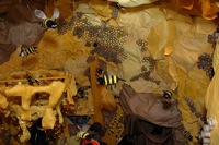 2007 Carnival 
