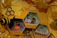 2007 Carnival 