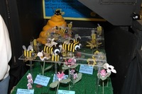 2007 Carnival 