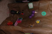 2007 Carnival 