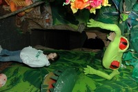 2007 Carnival 