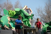 2007 Carnival 