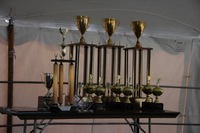 2007 Carnival 