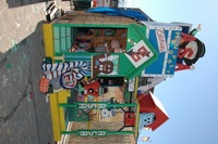 2007 Carnival 