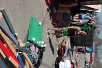 2007 Carnival 