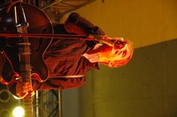 2007 Carnival 