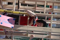 2007 Carnival 