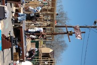 2007 Carnival 