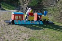 2007 Carnival 