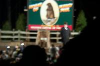 groundhog 