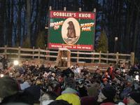 groundhog 