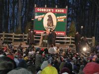 groundhog 