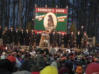 groundhog 