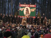 groundhog 