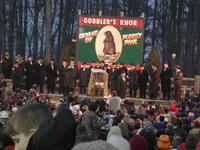 groundhog 