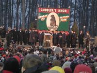 groundhog 