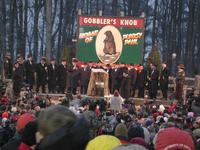 groundhog 