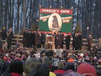 groundhog 