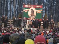 groundhog 