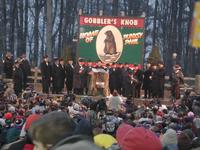 groundhog 