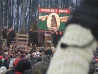 groundhog 