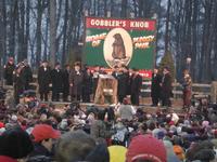 groundhog 