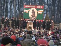 groundhog 