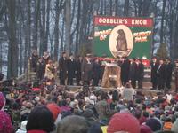 groundhog 