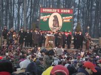 groundhog 