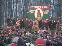groundhog 