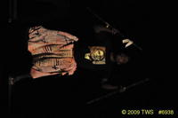 2009 Greek Sing 