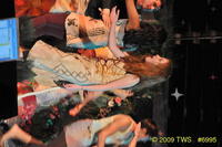 2009 Greek Sing 