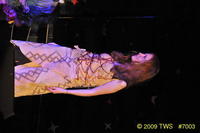 2009 Greek Sing 