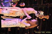 2009 Greek Sing 