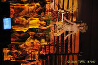 2009 Greek Sing 