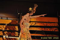 2009 Greek Sing 