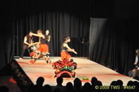 2009 Lunar Gala 