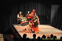 2009 Lunar Gala 