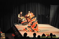 2009 Lunar Gala 