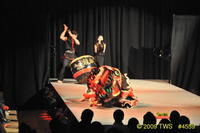 2009 Lunar Gala 