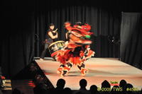 2009 Lunar Gala 