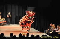 2009 Lunar Gala 