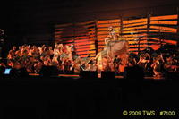 2009 Greek Sing 