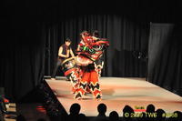 2009 Lunar Gala 