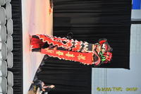 2009 Lunar Gala 